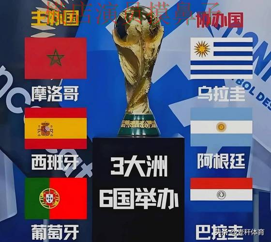 世界杯全球总决赛背景下的世界杯投注平台推荐推荐与安全入口