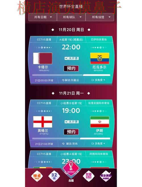 世界杯直播来临，世界杯买球网站访问方式与平台选择精选